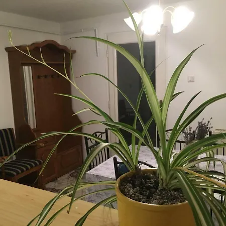 Levendula Apartmanhaz